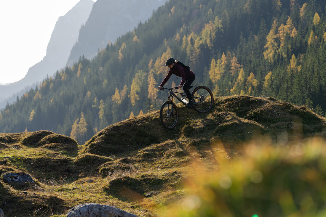 HARDTAIL MOUNTAINBIKE OF FULL SUSPENSION MOUNTAINBIKE?