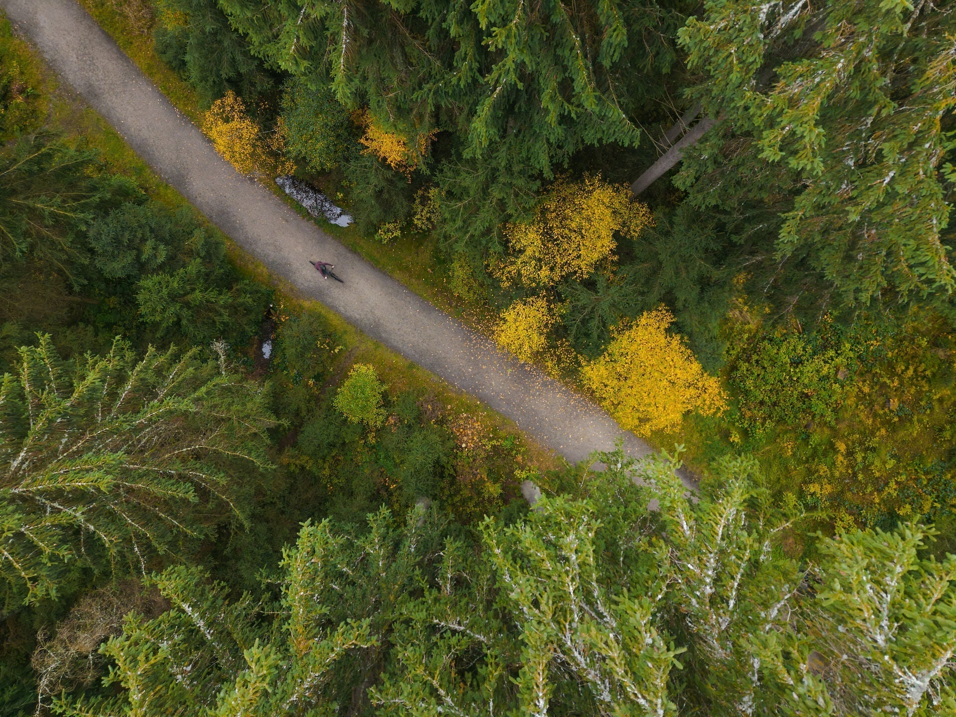 SEPTEMBER: DE BESTE MAAND OM TE FIETSEN?