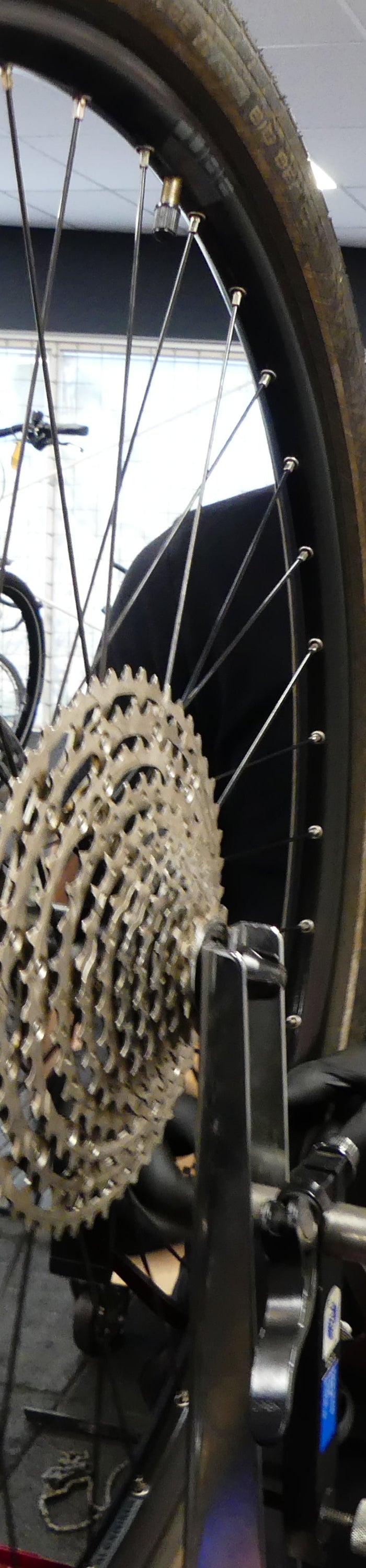 FIETSTECHNICUS CUBE STORE VLAARDINGEN