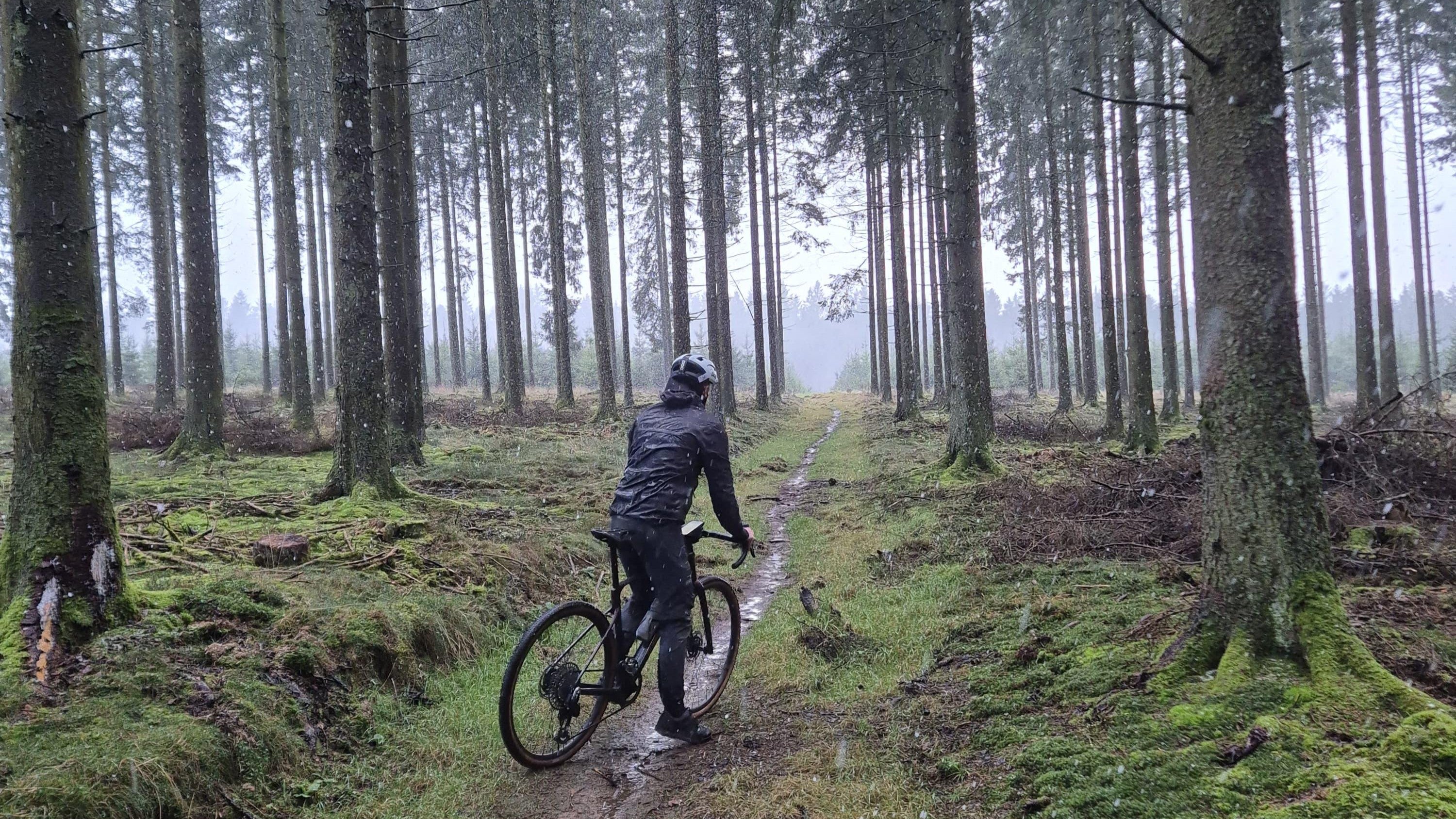 Een Levey fietst op zijn gravelfiets door de regen in een bos. Hij is gekleed in regenkleding en staat met zijn rug naar de camera. 