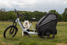 CUBE Trike hybrid