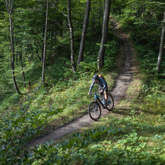 CUBE Hardtail MTB in het bos op de mountain bike trail