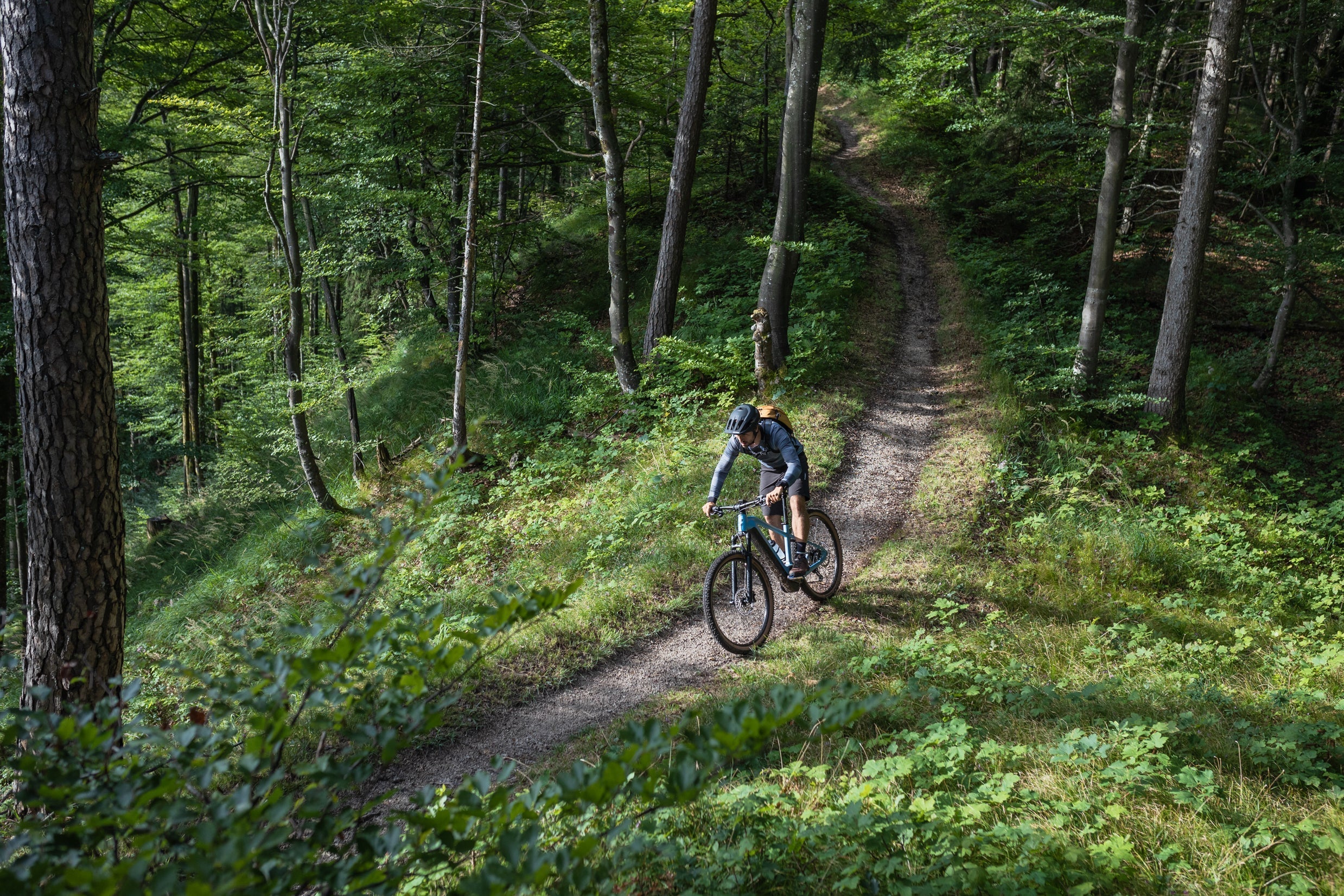 CUBE Hardtail MTB in het bos op de mountain bike trail