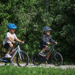 Collection image for: CUBE Kinderfiets 18 inch