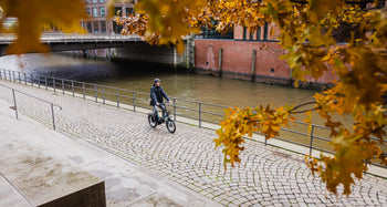 Elektrische Compact Fietsen van CUBE