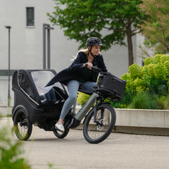 Collection image for: CUBE Trike hybrid