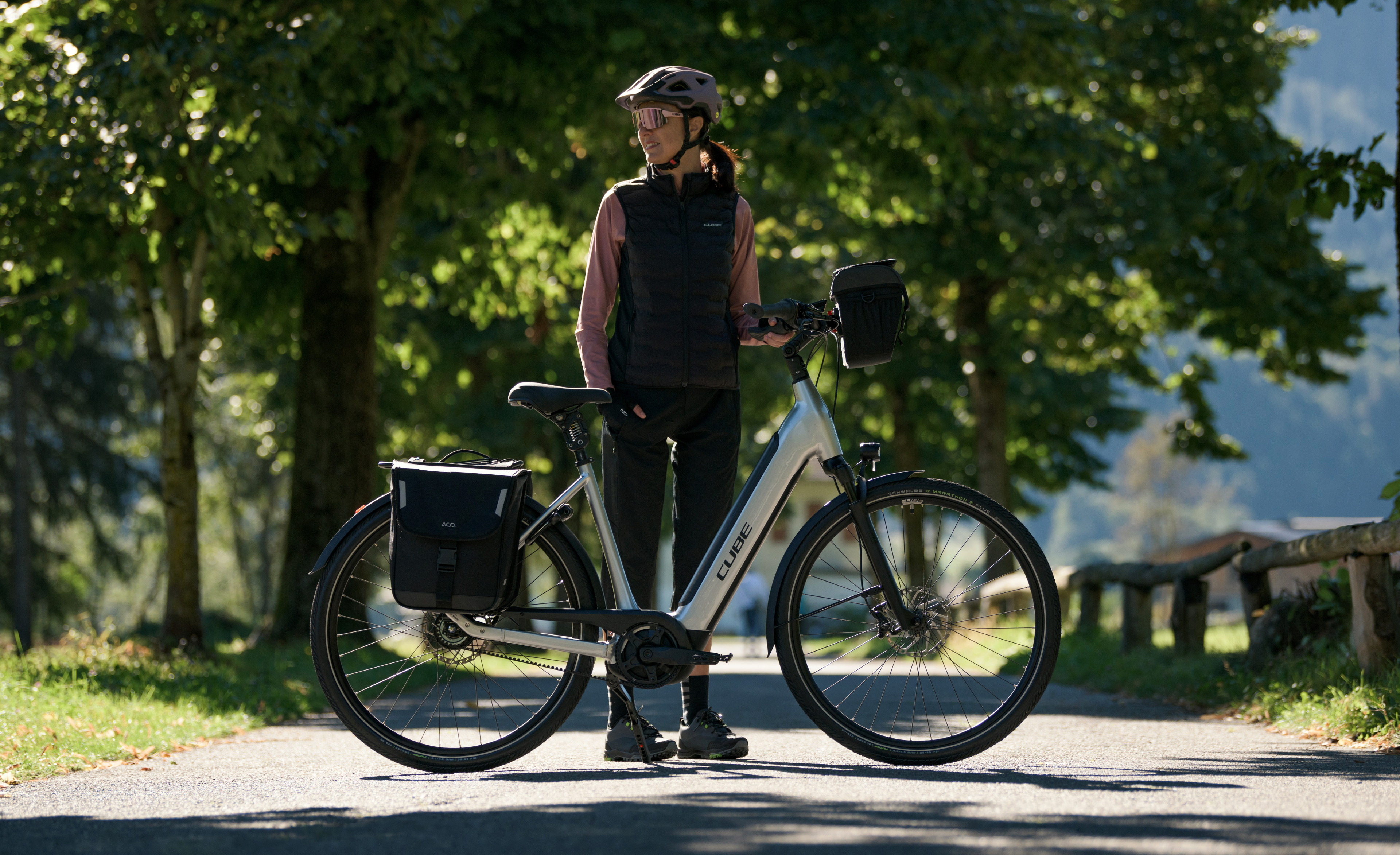 Assist deluxe hybrid electric bike online