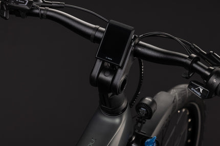 CUBE KATHMANDU HYBRID DELUXE PRO 800 BLACKFOREST/CHROME