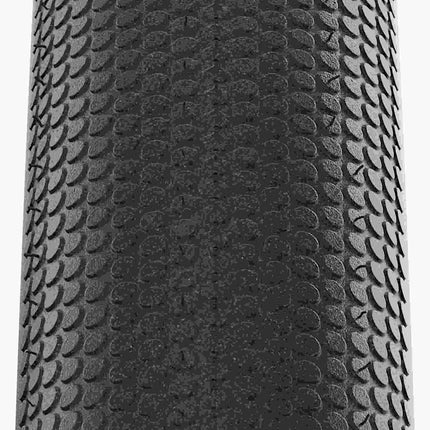 11600951_1