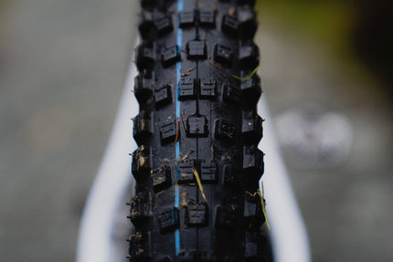 Schwalbe Wicked Will Evo Super Ground 29X2.60