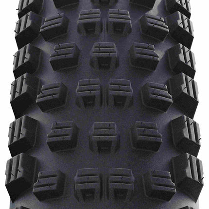 11654281_1