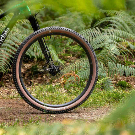 SCHWALBE RICK XC PRO EVO TLR SPEED TRANSPARENT SKIN 29X2.25