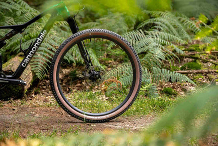 SCHWALBE RICK XC PRO EVO TLR SPEED TRANSPARENT SKIN 29X2.25