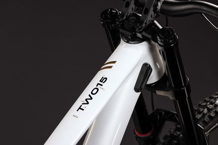 CUBE TWO15 RACE POWDERGOLD/BLACK