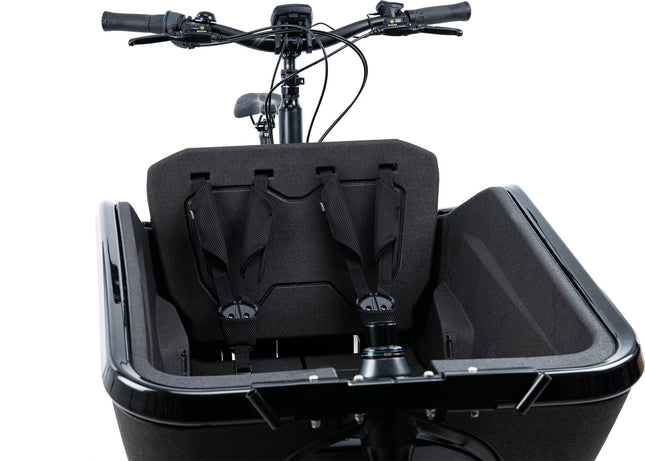 CUBE Safety Belt Cargo