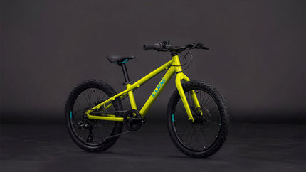 CUBE ACID 200 DISC LIZARD/BLUE