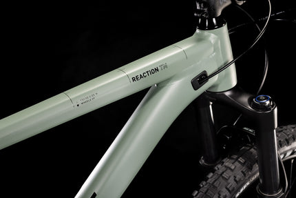 CUBE Reaction Tm Olive/Lime 2022