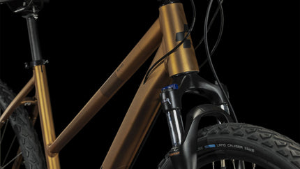 CUBE NATURE PRO GOLD/BLACK