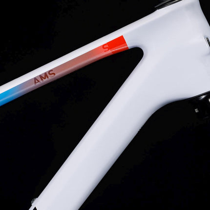 CUBE AMS ZERO99 C:68X SL 29 TEAMLINE