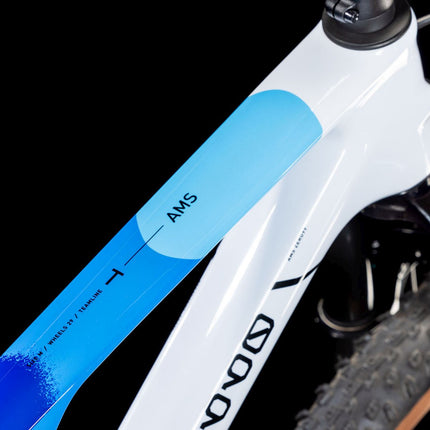CUBE AMS ZERO99 C:68X RACE 29 TEAMLINE