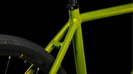 CUBE EDITOR RACE LIZARD/BLACK