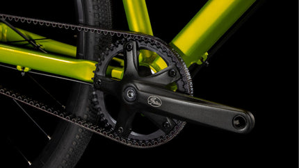 CUBE EDITOR RACE LIZARD/BLACK