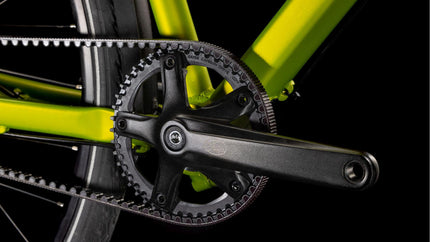 CUBE EDITOR RACE FE LIZARD/BLACK