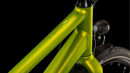 CUBE EDITOR RACE FE LIZARD/BLACK