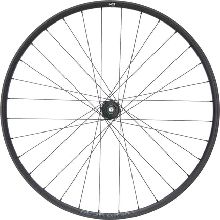 NEWMEN WHEEL BESKAR 30 STRONG 29 32H FADE SP 6B 12X148