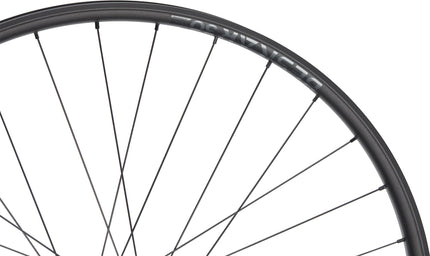 NEWMEN WHEEL BESKAR 30 STRONG 29 32H FADE SP 6B 12X148