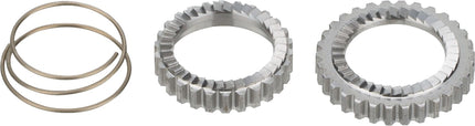NEWMEN FREEHUB BODY RATCHET SET 36T INCL SPRING