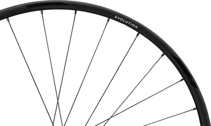 NEWMEN WHEEL EVOLUTION SL X.R.25 29 28H FADE R CL 12X142