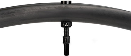 ACID TUBELESS VALVE BLACK