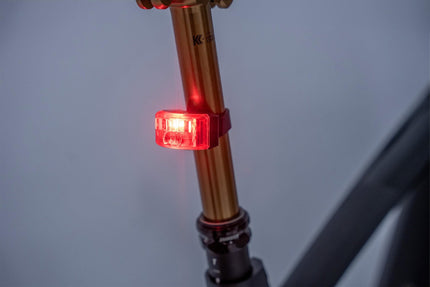 Acid Rear Light Pro Evolution