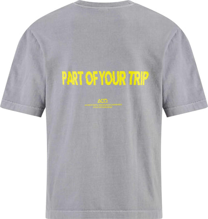 ACID ORGANIC T-SHIRT GTY FIT WASHED GREY