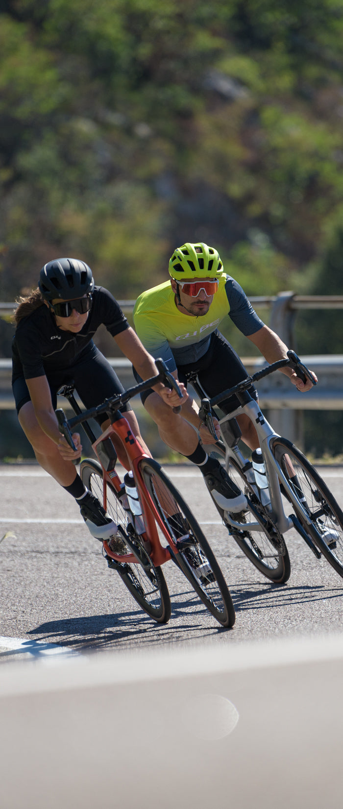 <h2>RACEFIETSEN</h2>